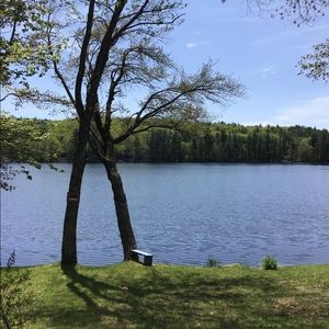 Meet your Posher, Allyson